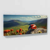 Ladybug Grand Odyssey 81