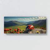 Ladybug Grand Odyssey 81