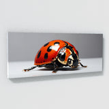 Ladybug Monochrome Elegance 86