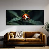 Ladybug Secret 75