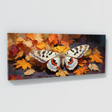 Moth Autumn Serenity 55