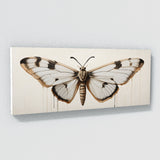 Moth Essence 95