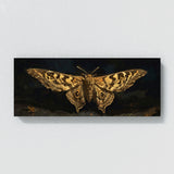 Moth Midnight Glow 14