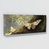 Moth Woodland 20