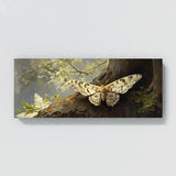 Moth Woodland 20