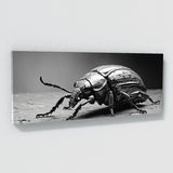 Beetle Colorful Insect 99