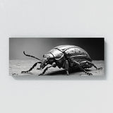 Beetle Colorful Insect 99