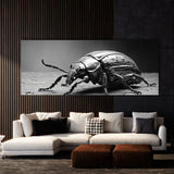 Beetle Colorful Insect 99
