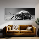 Beetle Colorful Insect 99