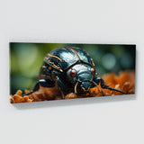 Beetle Macro Majesty 66