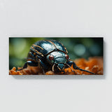 Beetle Macro Majesty 66