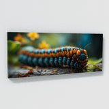 Caterpillar Intricate Macro 72