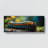 Caterpillar Intricate Macro 72