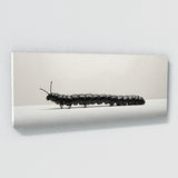 Caterpillar Segmented Serenity 90