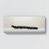 Caterpillar Segmented Serenity 90
