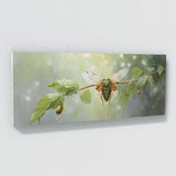 Cicada Serene Drizzle 36