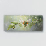 Cicada Serene Drizzle 36