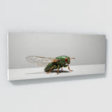 Cicada Silhouette 85