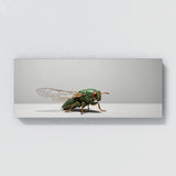 Cicada Silhouette 85