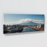 Fuji City Meets 73