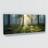 Moss Misty Morning Forest 105