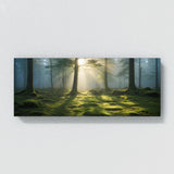 Moss Misty Morning Forest 105