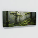 Moss Mossy Canopy 89