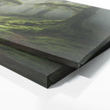 Moss Mossy Canopy 89