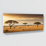 Landscape Sunlit Savannah Scene 76