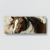Equine Majestic Gaze 16