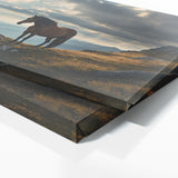 Equine Majestic Wilderness 70