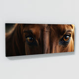 Equine Soulful Gaze 75