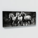 Equestrian Majestic Monochrome 94