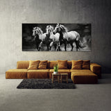 Equestrian Majestic Monochrome 94