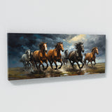 Equestrian Tempestuous Run 52