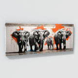 African Urban Jungle Symphony 42
