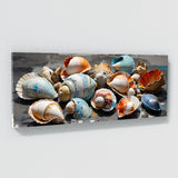 Seashell City Shellscape 97