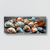 Seashell City Shellscape 97