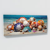 Seashell Colorful Symphony 52