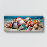 Seashell Colorful Symphony 52