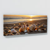 Seashell Dusk Shell Radiance 64