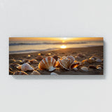 Seashell Dusk Shell Radiance 64