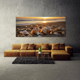 Seashell Dusk Shell Radiance 64