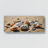 Seashell Journey 81