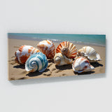 Seashell Modern Elegance 91