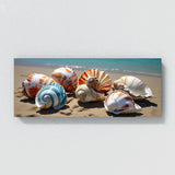 Seashell Modern Elegance 91