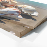 Seashell Modern Elegance 91