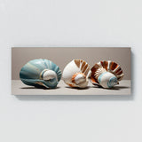 Seashell Modern Shell Elegance 90