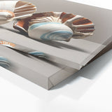 Seashell Modern Shell Elegance 90