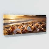 Seashell Radiance 80